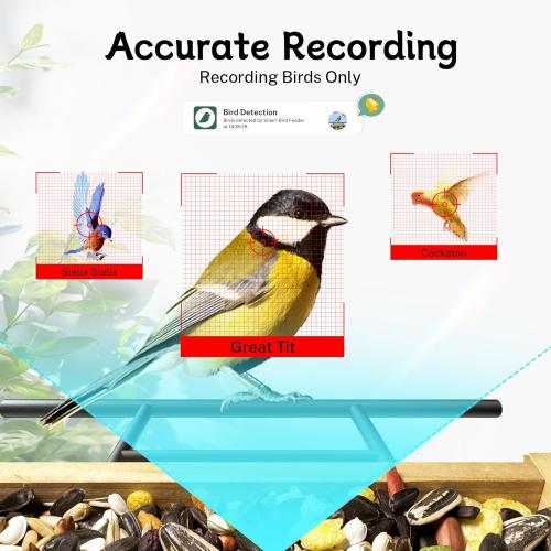 TT Nature Bird Feeder with Camera, Upgraded 1.5L Smart Birdhouse Al Identify for 10000 Plus Species, Auto Capture & Real-time Notifications, Ideal Gift for Bird Lovers (Iron Roof)