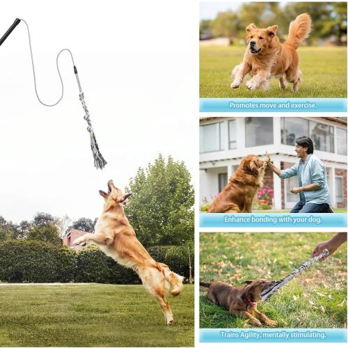 Flirt Pole for Small Medium Dogs,Interactive Chase and Tug of War Outdoor Dog Toys,Heavy Duty Dog Teaser Wand Chase Toys with Rope,Durable Flirt Stick Pole for Dogs Outside Agility Exercise & Training