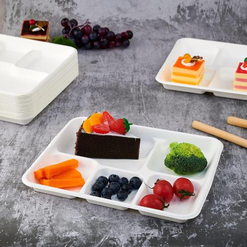 Vplus 100% Compostable 5 Compartment Plates 125 Pack Eco-Friendly Disposable Sugarcane 10 x 8 inch Bagasse School Lunch Tray Perfect for Boys and Girls