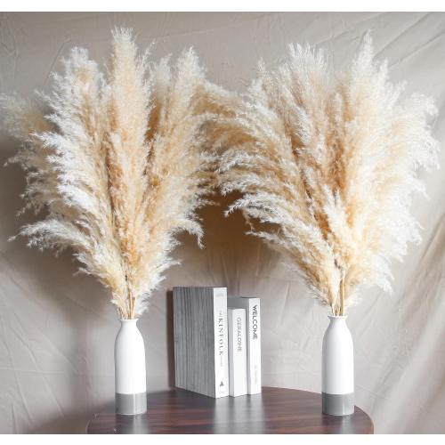 10 Stems 30 inch Dried Pampas Grass Decor Tall, Large Pompas Grass, Boho Neutral Home Decor Bouquet, Fluffy Pampass Grass for Floor Vase Wedding Floral Arrangements Wall Farmhouse Table Decor