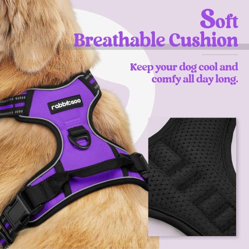 Medium rabbitgoo Dog Harness No Pull with 2 Leash Clips, Adjustable Soft Padded, Reflective Oxford No Choke Pet Vest with Easy Control Handle for Medium Sized Dogs, Purple, M
