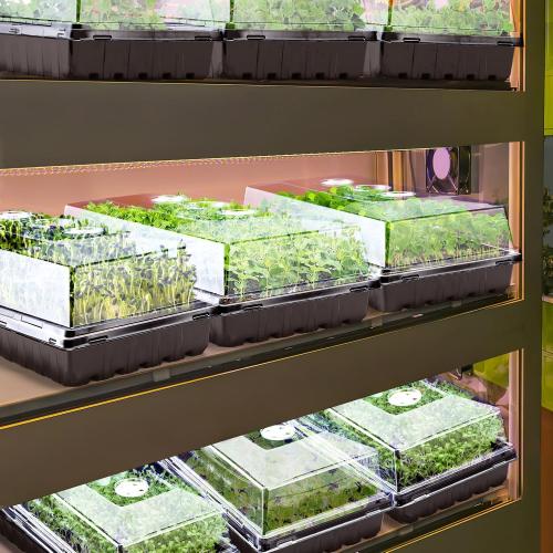 Apipi 10 Pcs 4'' High Durable Humidity Domes - Thickened 1020 Seed Starting Tray Covers with Adjustable Vents, Greenhouse Plant Growing Lid Dome for Seedling Growth Well Water Retention