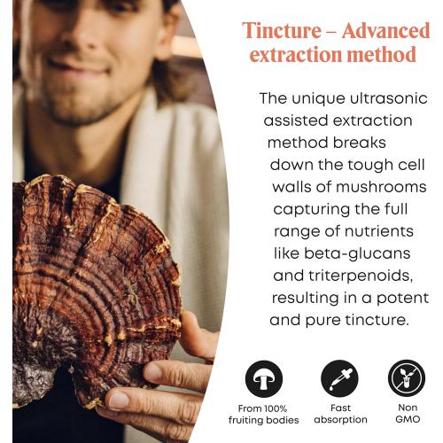 Reishi Mushroom Extract Liquid - Double Extracted Reishi Extract from Reishi Mushrooms. Reishi Mushroom Supplement, Reishi Tincture, Drops for Reishi Mushroom Tea (1 fl oz)