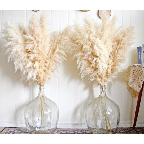 11pcs 40'' Pampas Grass Tall Decor - Pompas Floral, Tall Pampas Grass for Floor Vases, Living Room Floor, Floor Plants, Plumas para, and Grass Wall Decor