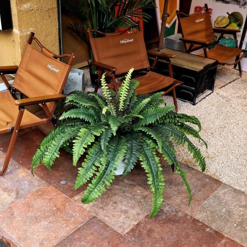 Large Artificial Ferns for Outdoor 48 Fake Boston Fern 60 Fronds Faux Ferns Plant Silk Greenery for Indoors Home Garden Porch Windowsill Decor (1 Stem)