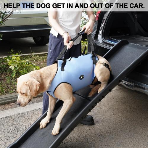 Coodeo Dog Lift Harness, Pet Support & Rehabilitation Sling Lift Adjustable Padded Breathable Straps for Old, Disabled, Joint Injuries, Arthritis, Loss of Stability Dogs Walk (Blue, L)