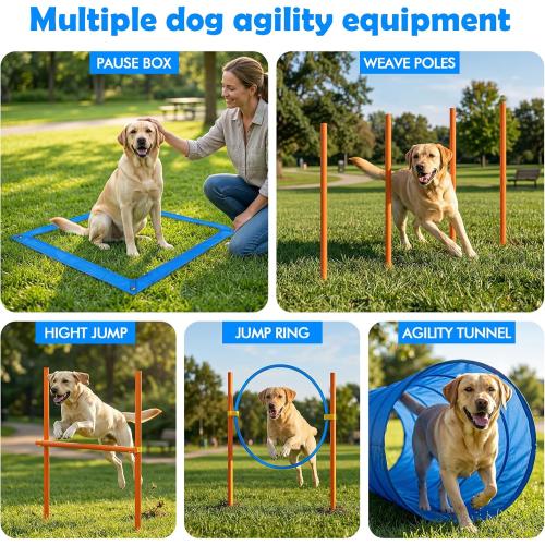 XiaZ Dog Agility Course Backyard Set, Dog Obstacle Course Training Starter Kit Pet Outdoor Game with Tunnel, Agility Hurdle, Weave Poles, Jump Ring, Pause Box, Collapsible Dog Bowls and Storage Bag