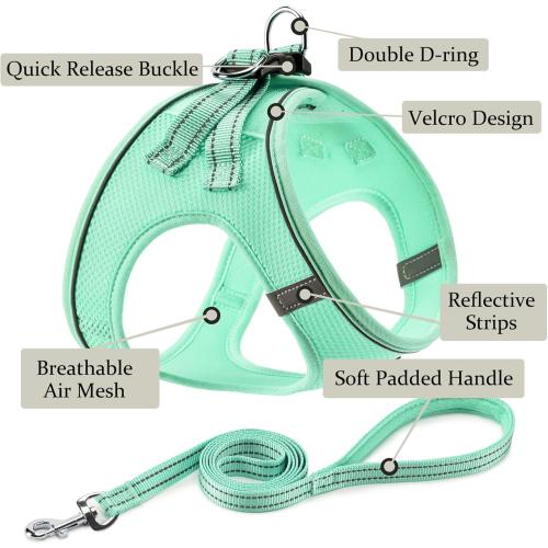 Size S Dog Harness with Leash Set, No Pull Adjustable Reflective Step-in Puppy Pet Vest Harnesses for Small Medium Large Dogs and Cats,Green