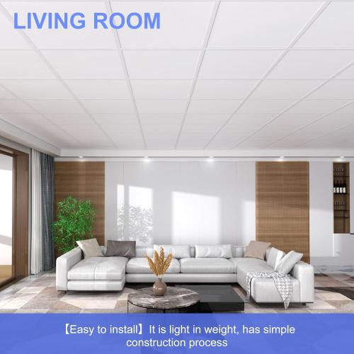 Smooth Drop Ceiling Tiles 2ft x 4ft - Waterproof, Fire-Rated, Easy Drop-in Installation - Premium PVC to Prevent Breakage - Ceiling Tiles 24 x 48, 10-Pack Cover 80 Sq. Ft, White