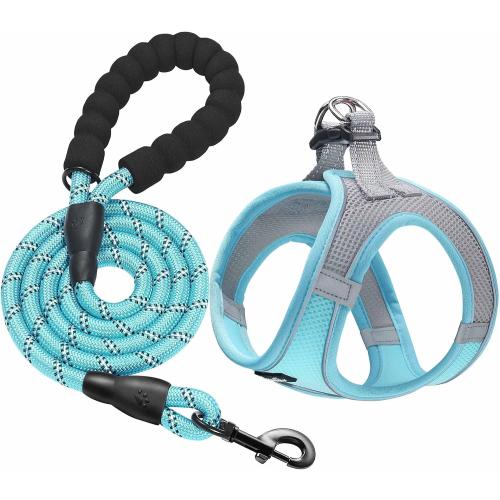 haapaw Dog Harness with Leash Set, No Pull Adjustable Reflective Step-in Puppy Harness with Thickened Padded Vest for Extra-Small/Small Medium Dogs