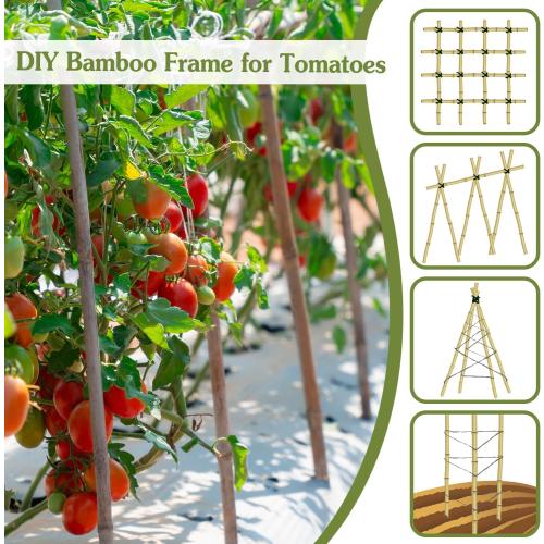 Plant Stakes 4FT, Natural Bamboo Stakes, 25Pcs Sturdy Bamboos Garden Stakes | HAINANSTRY Bamboo Sticks for Plants, Beans, Indoor and Outdoor Climbing Plants, Tomato Vegetable Stakes for Garden