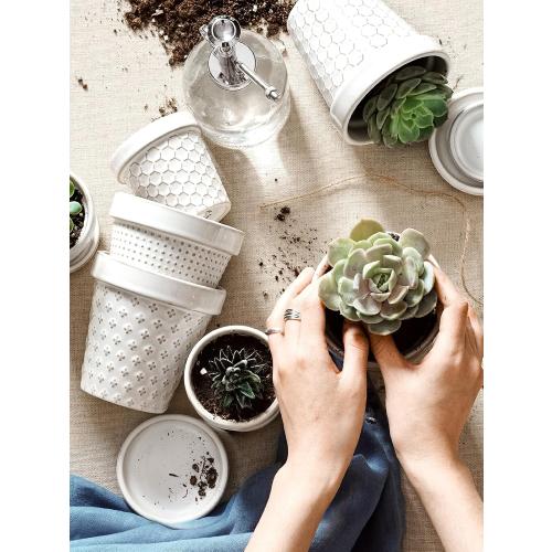 Size 4 inch set of 4 Color White LE TAUCI Ceramic Succulent Pots, 4 Inch Small Plant Pot for Indoor Plant Cactus, Embossed Flower Pots with Drainage Hole & Saucer - Set of 4, Arctic White