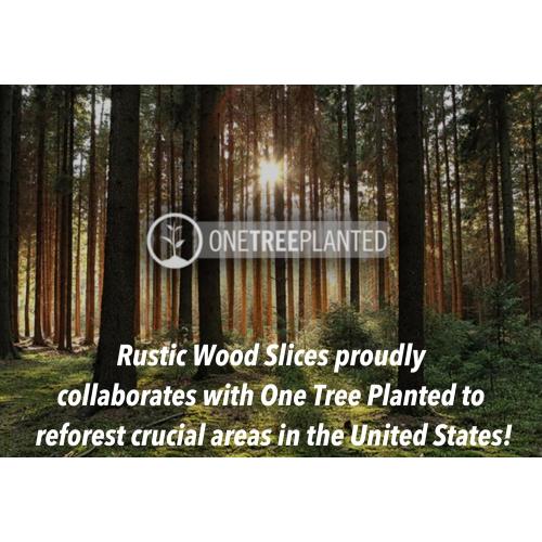 Set of 12 Wood Slices for centerpieces! Wedding and Baby Shower centerpieces (Set of 10 Medium (9-11))