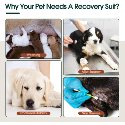 Kuoser Dog Surgery Suit Female Spay, Dog Recovery Suit Male Neuter