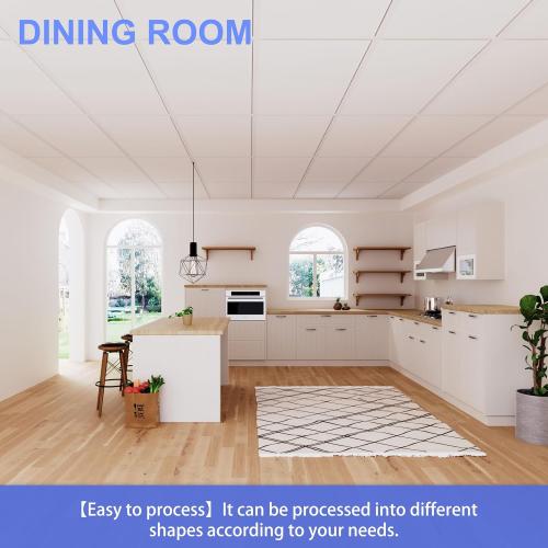 Smooth Drop Ceiling Tiles 2ft x 4ft - Waterproof, Fire-Rated, Easy Drop-in Installation - Premium PVC to Prevent Breakage - Ceiling Tiles 24 x 48, 10-Pack Cover 80 Sq. Ft, White