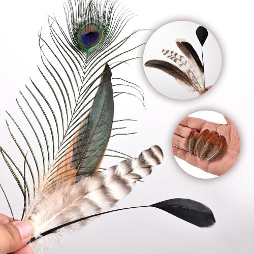FeelfunFeather 150 pcs Natural Feathers Bulk- 7 Style Mixed Spotted Decorative Pheasant Feather Peacock Feather for DIY Crafts Halloween Wedding Party Hat Decoration