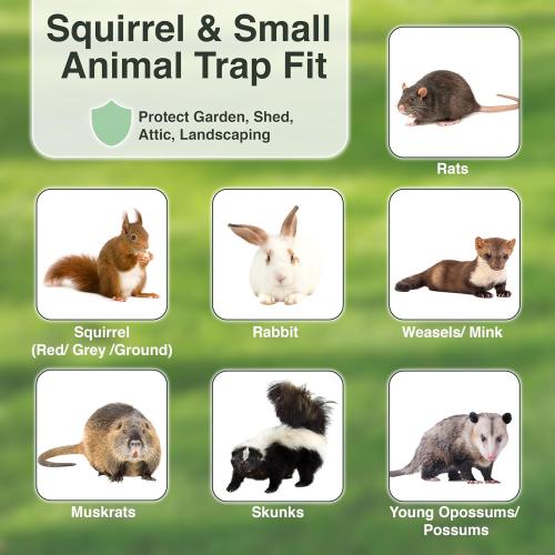 HOMESTEAD Heavy Duty Live Trap - Professional Style One-Door Live Animal Traps for Rabbit, Squirrel, Possum, Skunk, Kitten, Mink Small