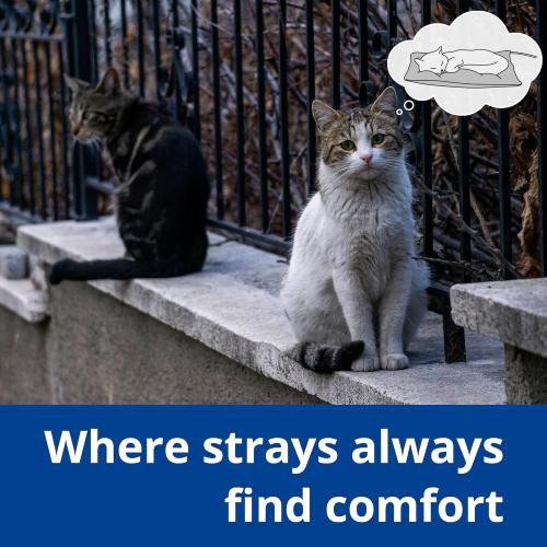 Outdoor Heated Dog Bed, Soft Pet Heating Pad with Steel-Wrapped Cord, Outside Pet Warmer for Feral Cats and Dogs, 35.4 x 23.6, 80 Watts