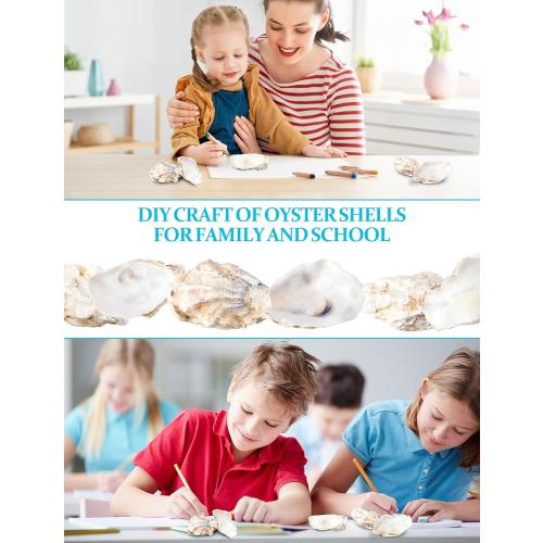 9 Pcs Oyster Shells for Crafts， 3-4 Large Oyster Shell for Crafts，Oyster Shell for Christmas 、Painting、 Beach Themes、 Wedding, Home Shells for Decoration and Sea Shells for Crafting