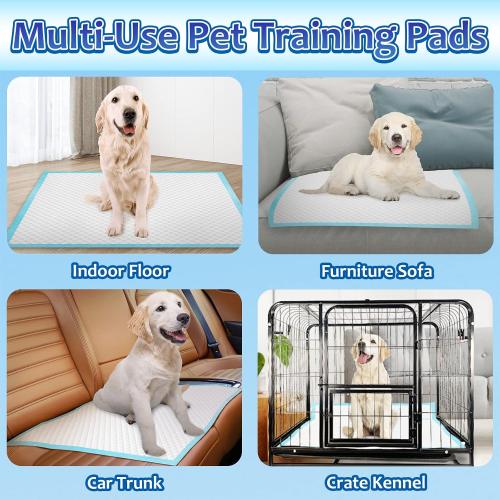 Puppy Pads Extra Large 30x36, 40 Count Thicken XLarge Puppy Pee Pads for Dogs Super Absorbent, Leak-Proof Disposable Pet Training Pad, Potty Piddle Mats for Puppies, Cats, Doggies