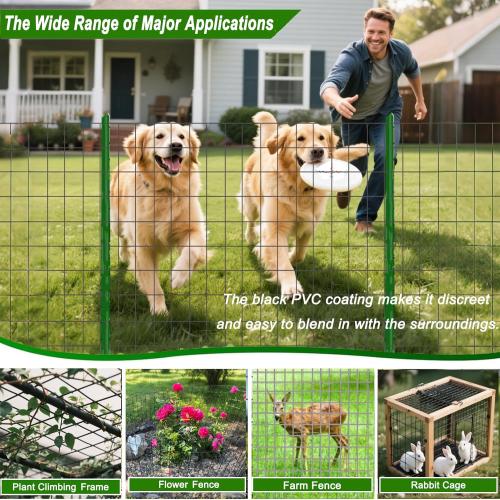 Welded Wire Fence 36inch x 50ft, Black PVC Coated Garden Fencing, 2 inch x 3inch 16Gauge Chicken Wire Fence Roll, Anti-Rust Metal Fencing for Yard Plant Protection Poultry Netting