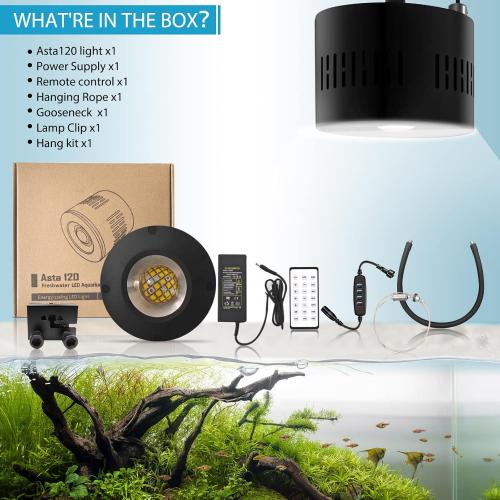 Lominie Aquarium LED Light 10 Gallon Fish Tank Light Timer Clip on Aquarium Lamp Full Spectrum 80W 6500k for Freshwater Refugium Cube Tank with Gooseneck