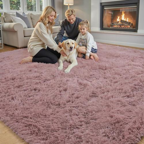 Rugs for Living Room 5x8, Alfombras para Salas Shag Large Plush Soft Area Rug, Shaggy Carpets for Bedroom, Kids Boys Girls Home Decor Aesthetic(Blush, 5 x 8)
