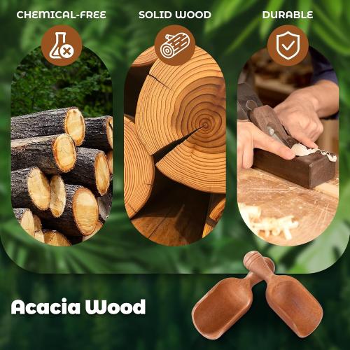 6 Pack Wooden Coffee Scoops for Canisters, 4 Inch Acacia Wood