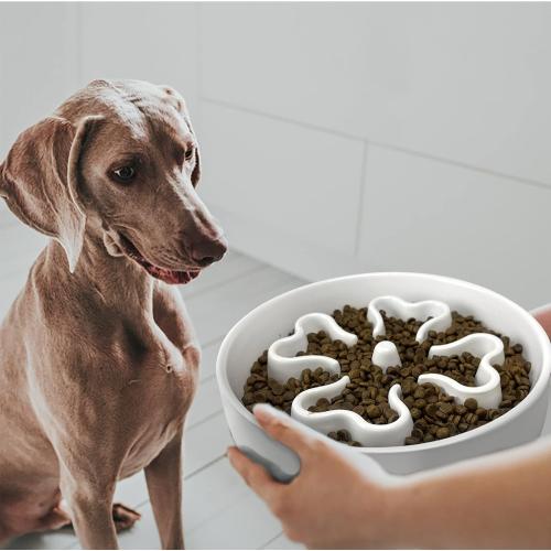 Slow Feeder,Ceramic-Slow Feeder Dog Bowls Medium Breed,Puzzle Food Bowl Maze,2.5 Cups Slow Feed Dog Bowl for Medium Dogs,White