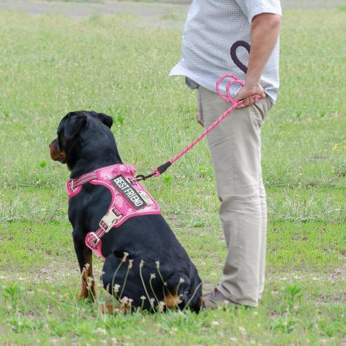Pink Camo Size Large Heavy Duty Tactical Dog Harness for Large Dogs, No Pull Adjustable Pet Harness Reflective Service Training Easy Control Pet Vest Military K9 Working Dog Harnesses- Large, Pink Camo