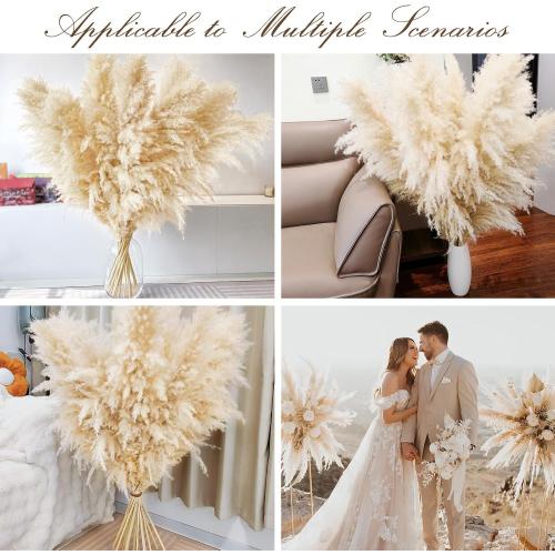 40 10 PCS Dried Pampas Grass Decor Tall,Large Natural Beige pompas Grass,Tall Pampas Grass for Floor Vase,Wedding,Party,Farmhouse,Boho Home Decor,and Creating a Bohemian Ambiance