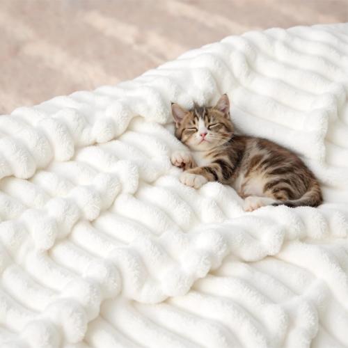 Bedsure GentleSoft White Throw Blanket for Couch - Soft Cozy Blankets for Women, Fluffy Fuzzy Fleece Throw for Girls, Birthday Gifts for Women Her, Room Home Boho Spring Decor, Off White, 50x60 Inches