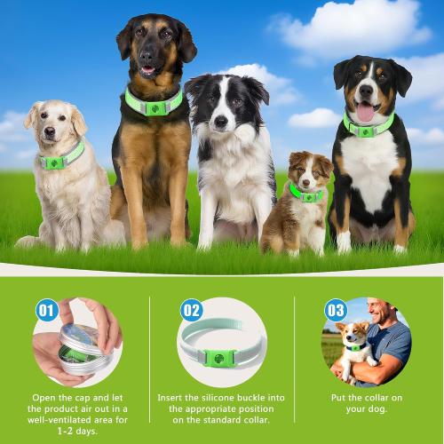 Pendant for Dogs, Adjustable Collar Tag for Small Medium Large Breeds, Water-Resistant Wellness Pendant with 2 Refills (Green)