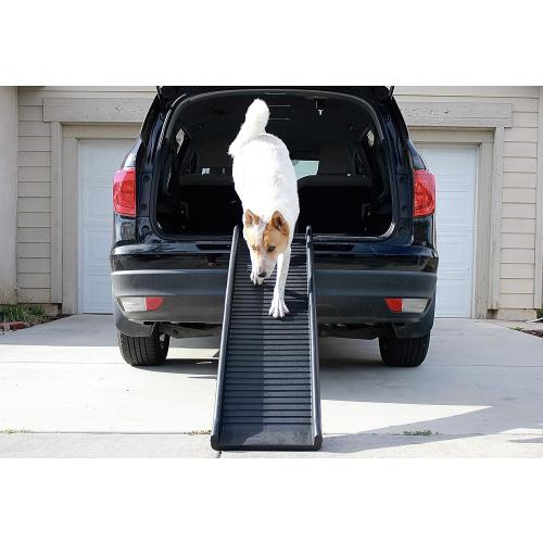 PawStep 50524 61 Portable Folding Pet Ramp, Black