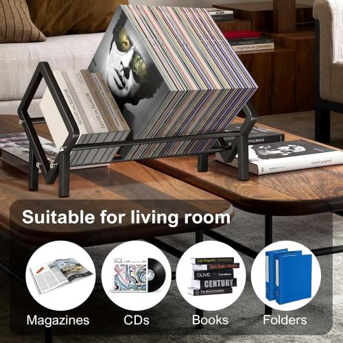 Stainless Steel Tabletop Bookshelf Desk Book Organizer for Book Lover and Record Holder, Desktop Storage Book Rack for Magazine/CDs/Books Display, Small Desktop Bookcase in Office/Home /Living Room