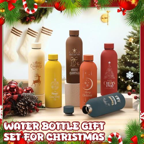 LemonRoad 6 Pcs Christmas Stainless Steel Cup, 17 oz Employee Appreciation Reusable Gift, Thank You Water Bottle Bulk, Color Sport Bottle, Inspirational Team for Coworker Teacher Nurse Staff Gift