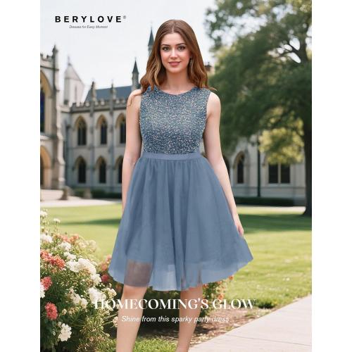 Size S BeryLove Sequin Dress Vintage A Line Wedding Formal Swing Tulle Dress Sleeveless Cocktail Mini Dress
