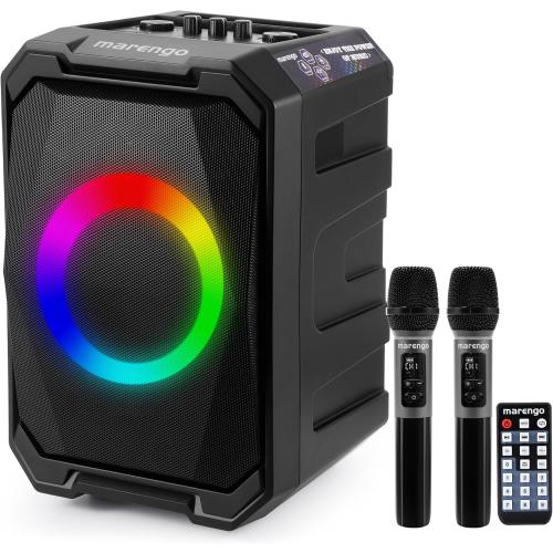 Karaoke Machine with 2 Wireless Microphones, Portable Bluetooth Party Karaoke Speaker with LED Lights, Bass/Treble Adjustment, TWS, 800W(Peak) PA System for Home Party, Supports USB/AUX/REC/Mic-in ( no remote)