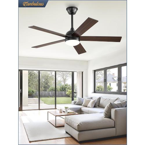 Fanbulous 48 Inch Ceiling Fan with Light and Remote, Black