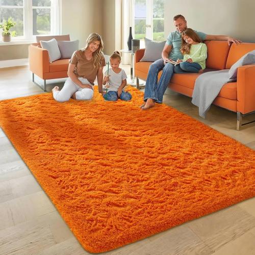 Ophanie Orange Large Rugs for Living Room Bedroom, Fluffy Fuzzy Furry Carpet, Plush Soft Shaggy Bedside Indoor Floor Area Rug for Kids Girls Boys Baby Teen Dorm Nursery Home Decor Aesthetic