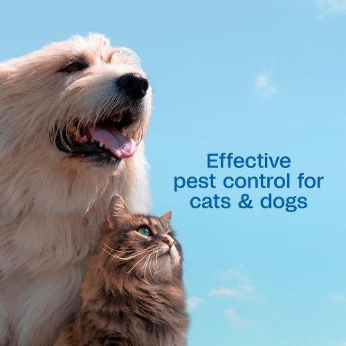 ADAMS Plus Flea & Tick Shampoo with Precor IGR for Cats, Kittens, Dogs & Puppies Over 12 Weeks of Age, Sensitive Skin Flea Treatment, Kills Adult Fleas, Flea Eggs, Ticks, and Lice, 24 Ounces