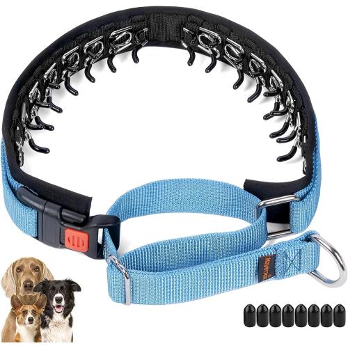 Mayerzon No Pull Dog Collar, Patented Martingale Collar for Small Medium Large Dogs with Buckle and Heavy Duty Nylon for Walking Training Hunting, Safe and Easy to Use(XL, Blue)