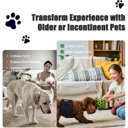 Wegreeco Washable Male Dog Belly Band (Stylish Pattern) - Pack of 3 - Washable Male Dog Belly Wrap, Dog Diapers Male (Black, Charcoal, Navy, Large)