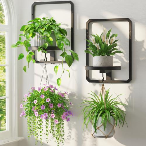 LASZOLA Plant Picture Frame Holder Shelf Wall Window Indoor, 2 Pcs Black