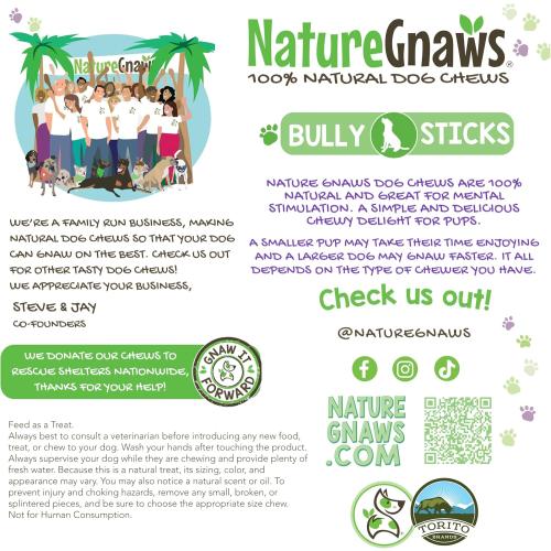 Nature Gnaws Large Bully Sticks for Dogs 11-12 (10 Count) - Thick Long Lasting for Aggressive Chewers and Large Dogs - Natural Beef Dog Chew Bones