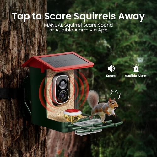 ‼️may be some missing pieces or mild stains ‼️Smart Bird Feeder with Camera Solar Powered, 2K HD Video, AI Bird Species Identification, Instant Arrival Alerts, Weatherproof Design for Effortless Birdwatching, Best Gift for BirdLovers, Red