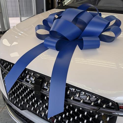 CarBowz Big Bow for Car Decorations and Birthday Gifts, Large Ribbon, Magnet, Safe Sticker Included, Fully Assembled 30 Wide Huge Bow, No Suction Cup Needed (Blue)