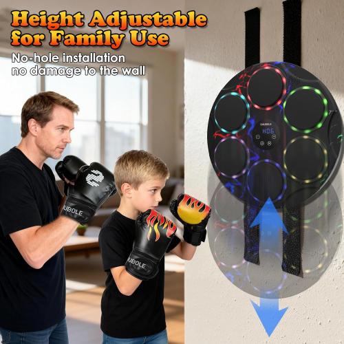 Music Boxing Machine with Gloves - Wall Mounted Punching Trainer for Adults & Kids, 9-Speed Punch Game, Wall Boxing Punching pad, 2025 Upgrade Gifts for Boys Age 6