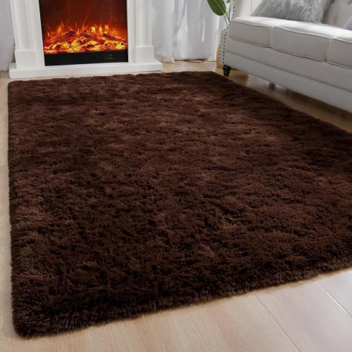 Area Rug Brown Large Living Room Fluffy Carpet for Bedroom Dorm, Non-Slip High Pile, Coffee Modern Big Shag Rug for Classroom Kids Playroom Nursery Home Office Decor
