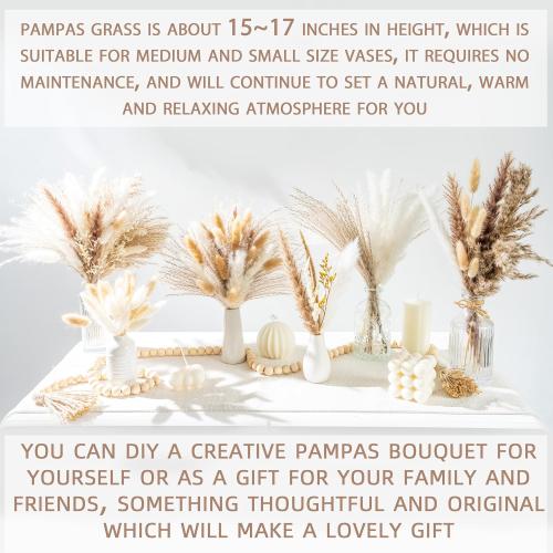 96PCS Natural Dried Pampas Grass Boho Home Decor Bouquet Phragmites Dried Flowers Bouquet for Wedding Floral Arrangements Living Room Decorations (96PCS)
